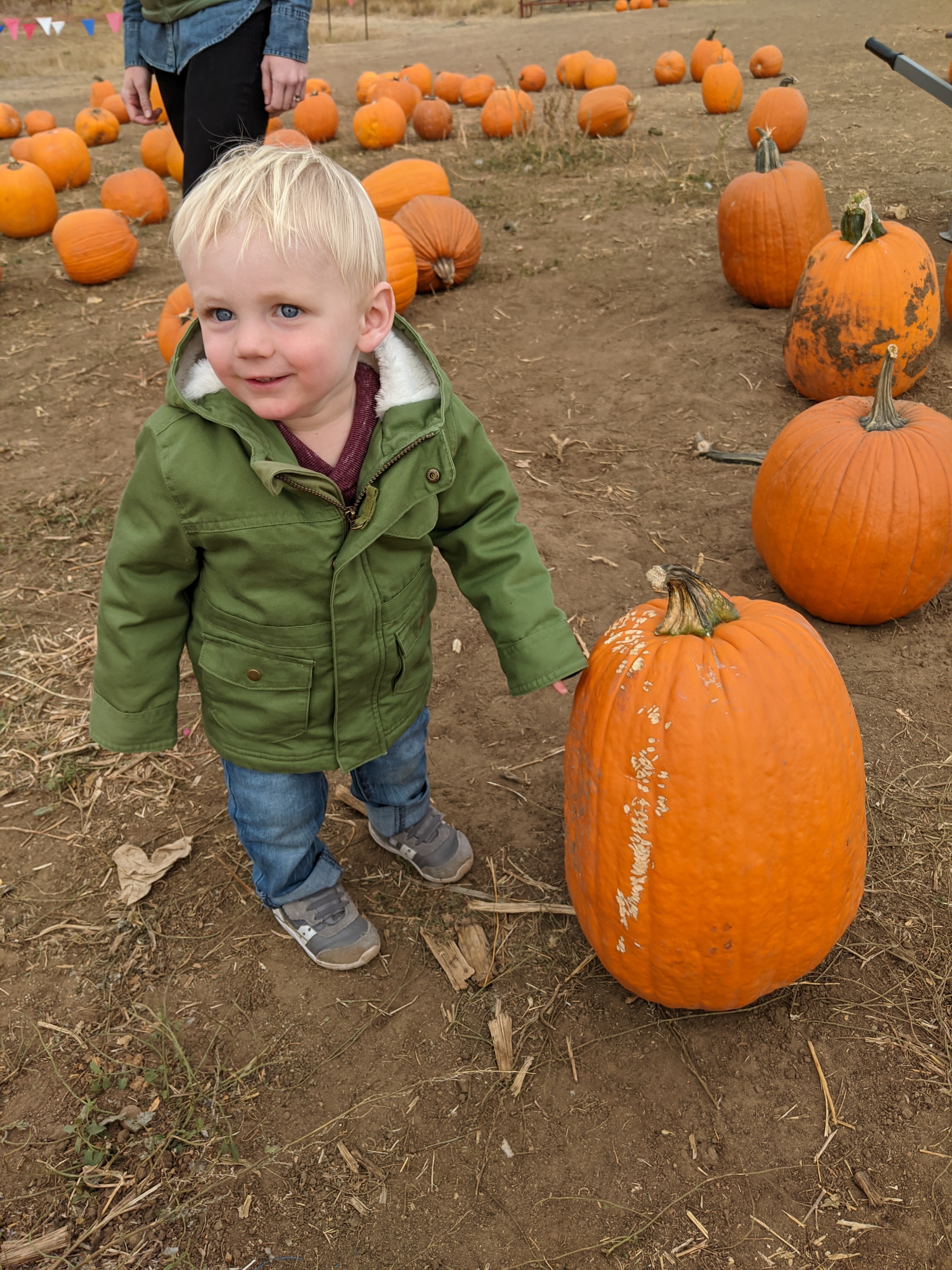 Owen at the pumpkin patch.