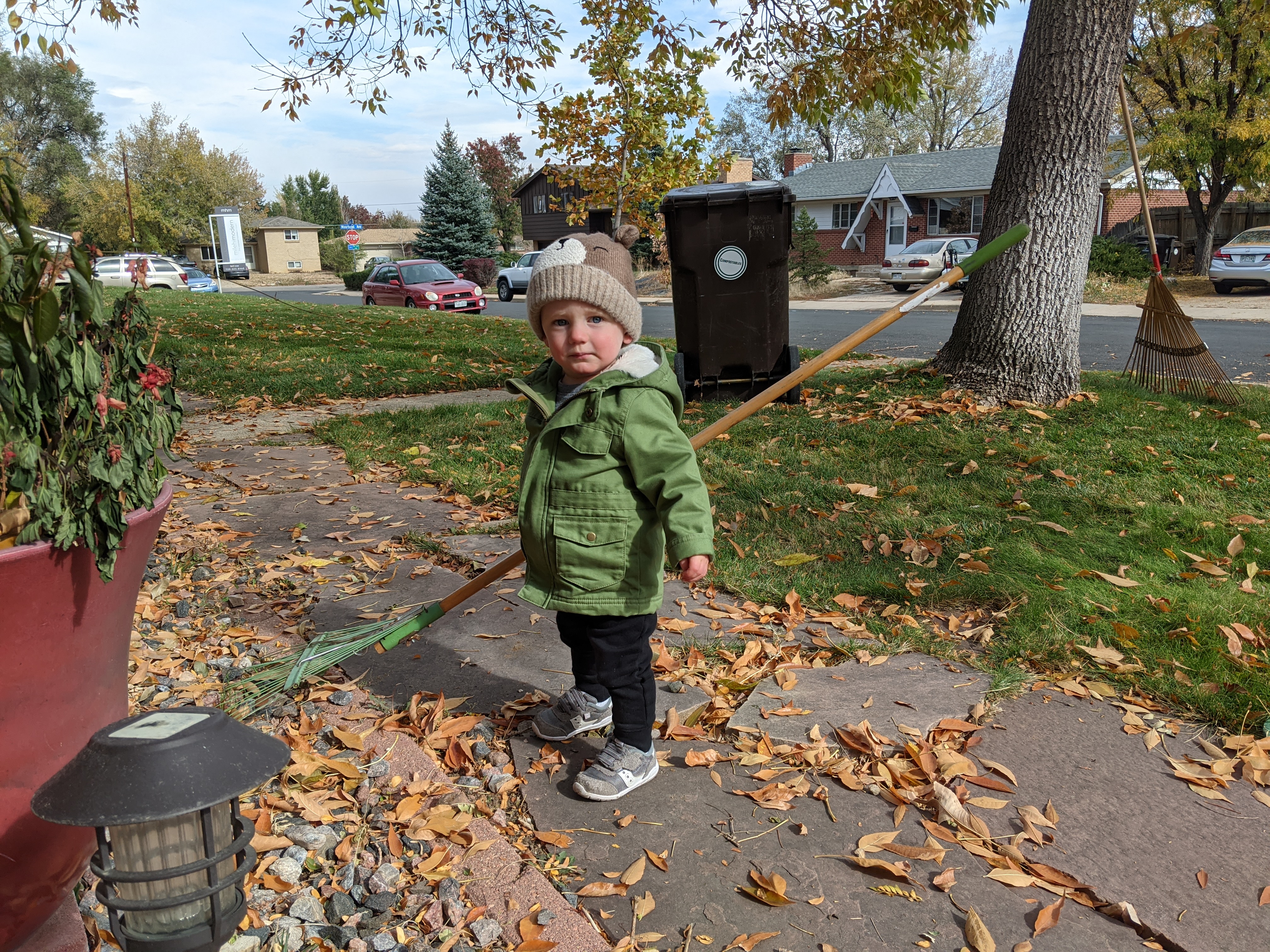 Owen raking leaves.