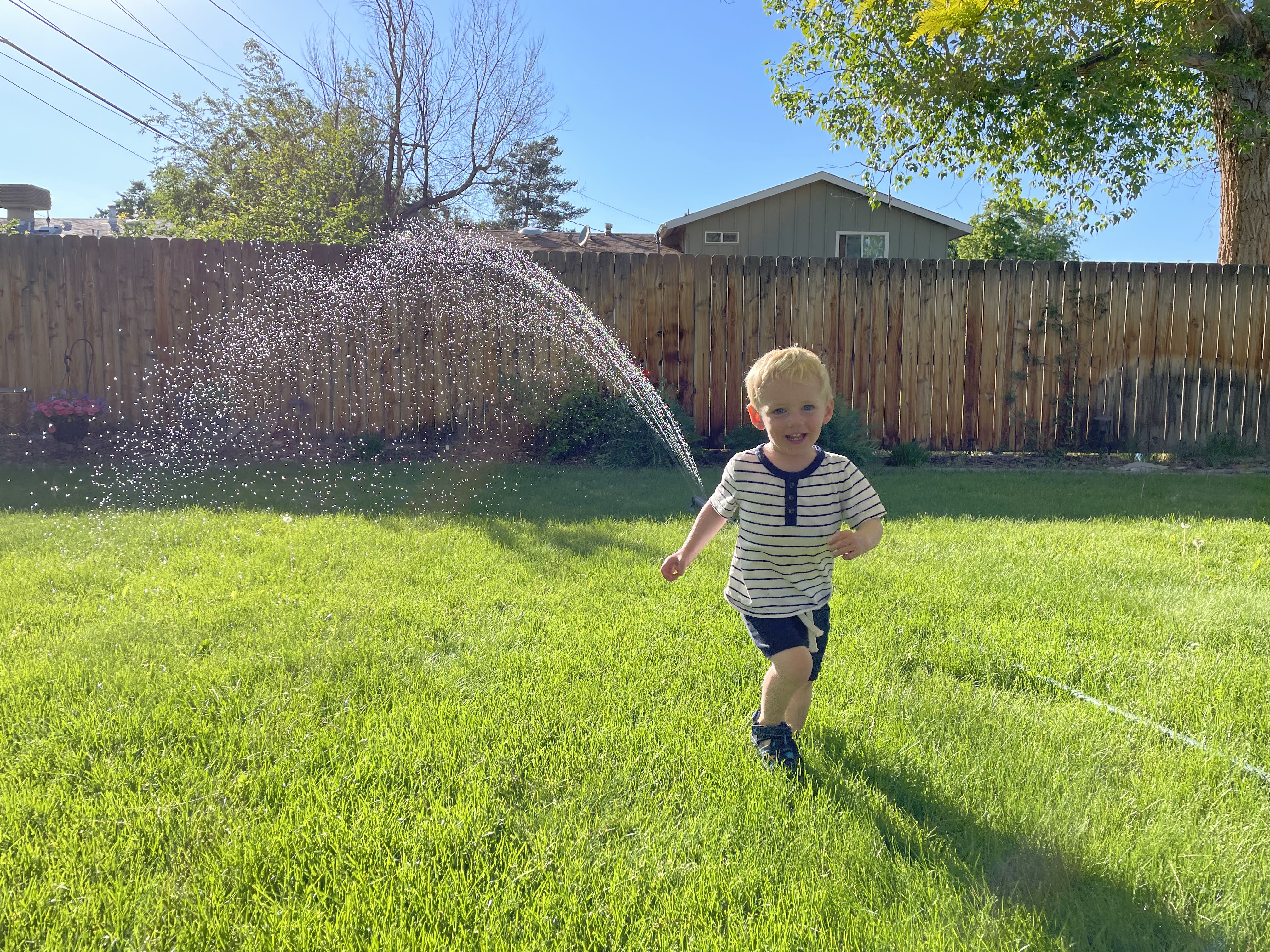 Owen playing in a sprinkler